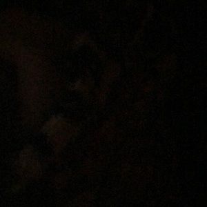 Meet your Posher, Boris